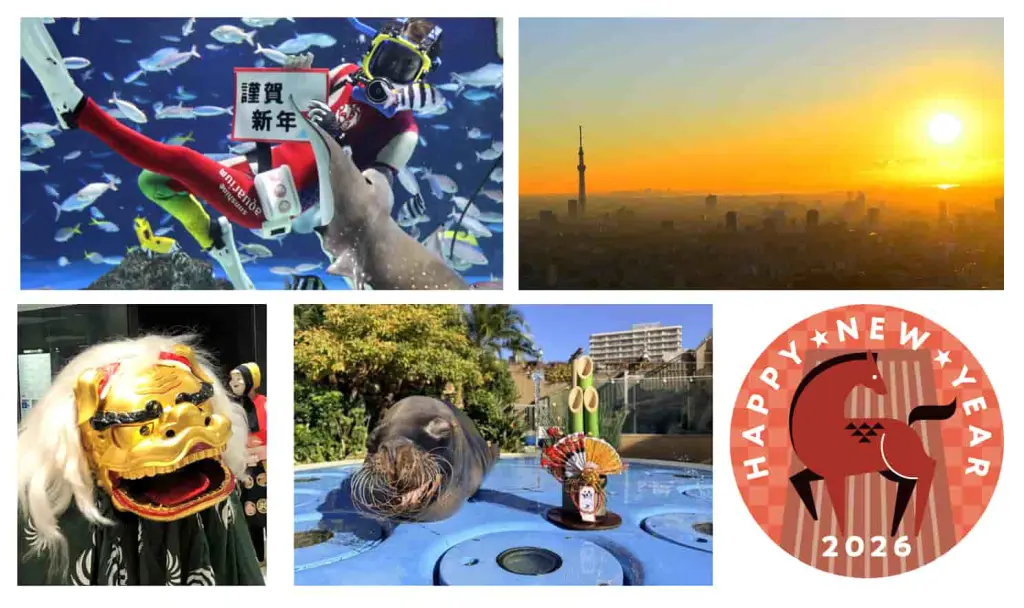 サンシャイン水族館 2026福袋】即完売の体験型福袋が12/20(土)12時発売