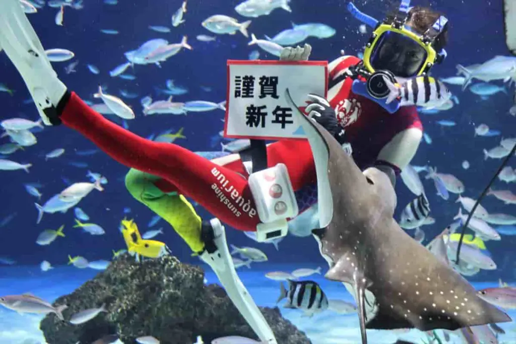 2026正月】池袋サンシャインシティで「獅子舞」や「初日の出」を満喫