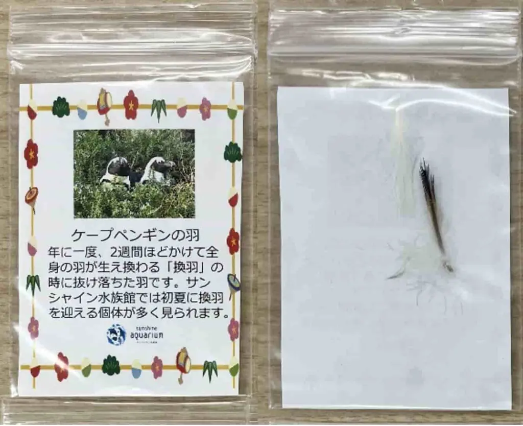 2026正月】池袋サンシャインシティで「獅子舞」や「初日の出」を満喫