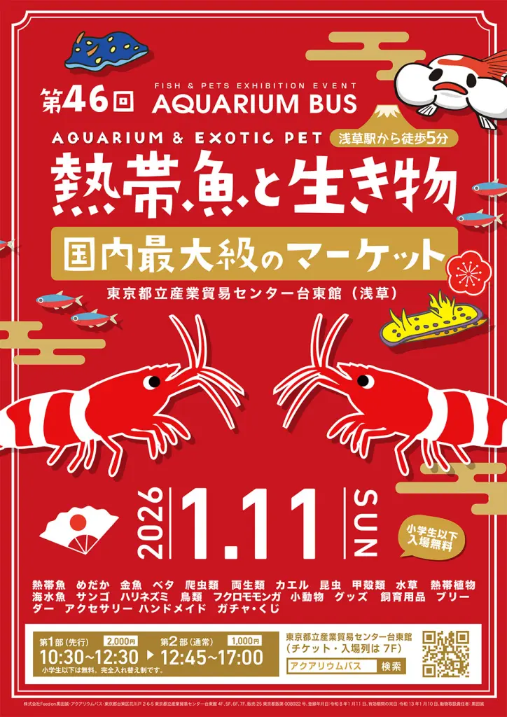 サンシャイン水族館 福袋 2026 まとめ売り サンシャイン水族館 福袋