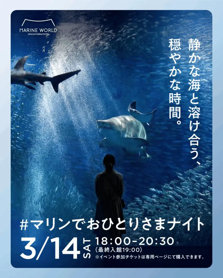 サンシャイン水族館 2026福袋】即完売の体験型福袋が12/20(土)12時発売