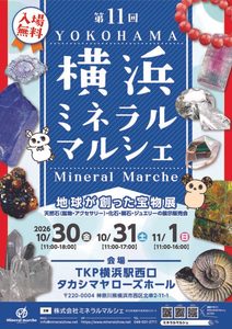 【横浜市】約20万点の鉱物・化石・宝石が集結！「第11回横浜ミネラルマルシェ」がTKP横浜駅西口 タカシマヤローズホールにて10月30日より3日間開催